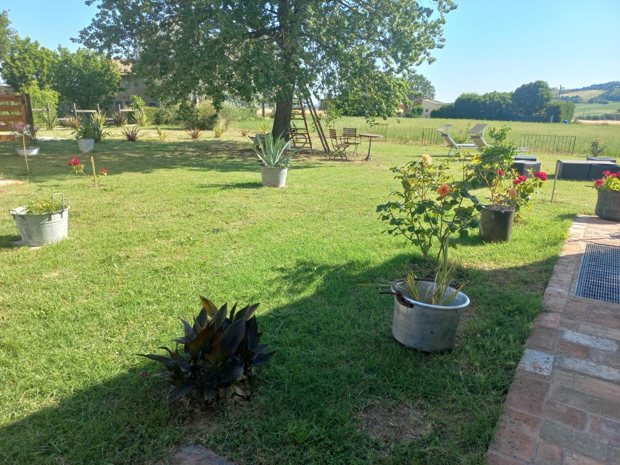 Beb Montefratta Bed & Breakfast Fratta Terme Exterior photo